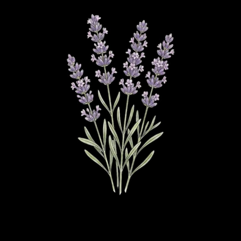 Sommeil & relaxation